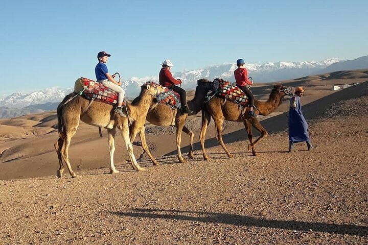 Agafay Camel Ride